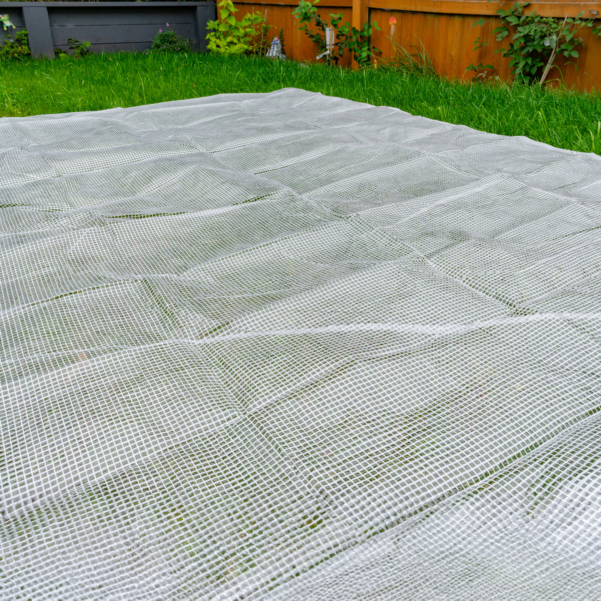 Tarpaulin 100GSM Clear with 10 x Clip-On Eyelets Black