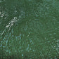 Tarpaulin 50GSM Green with 10 x Clip-On Eyelets Black
