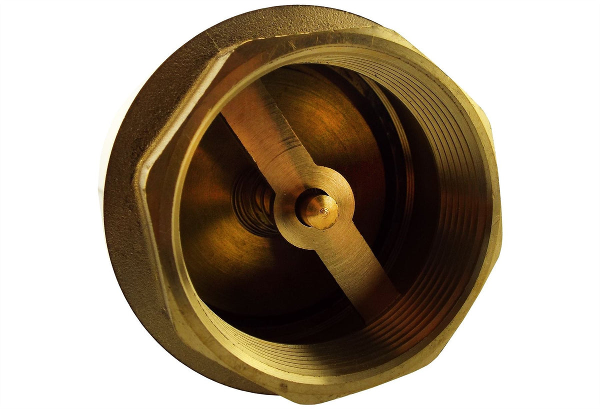 2” BSP Brass Nickel-Plated Lever Valve with Brass Spring Check Valve