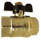 Butterfly Bib Valve 1" BSPF-F with 2 x Brass Straight 25mm Barbed Fittings