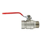 3/4” BSP Brass Nickel-Plated Lever Valve with Brass Spring Check Valve