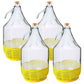 Glass Demijohn 5L With SCREW Top Cap & Yellow Protective Basket