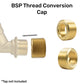 Thread Conversion Cap 1" BSPM - 3/4" BSPF, Brass