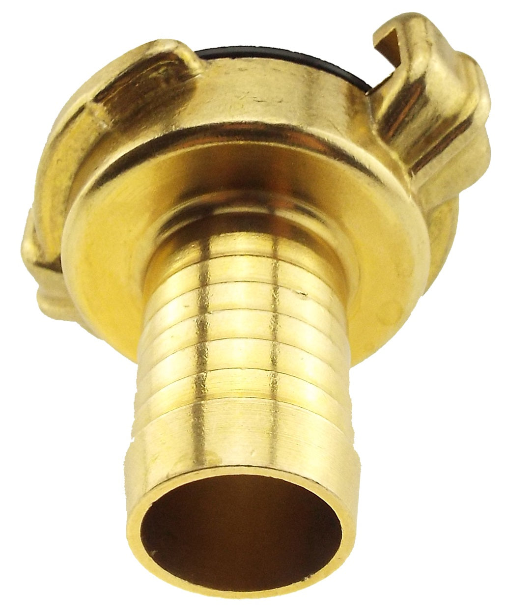 Claw Brass - 1" Hose