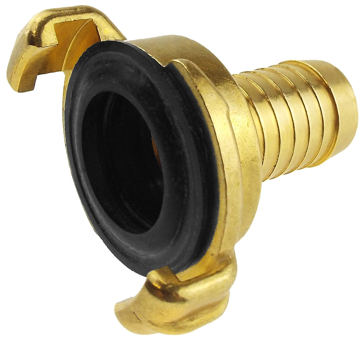Claw Brass - 1" Hose