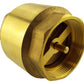 Brass Spring Check Valve 1.25" BSPF