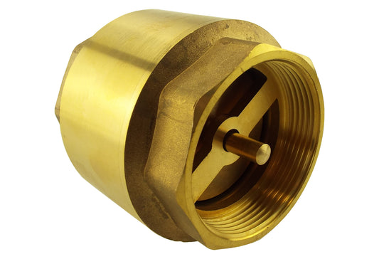 Brass Spring Check Valve 2" BSPF