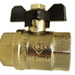 Brass Nickel-Plated Butterfly Valve 1" BSPF